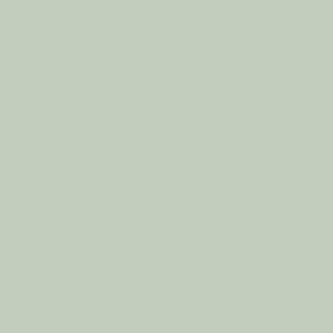 Cactus White